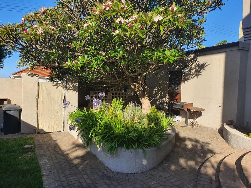 To Let 4 Bedroom Property for Rent in University Estate Western Cape